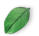 https://cleansourceltd.com/wp-content/uploads/2025/07/floating_leaf_01.png